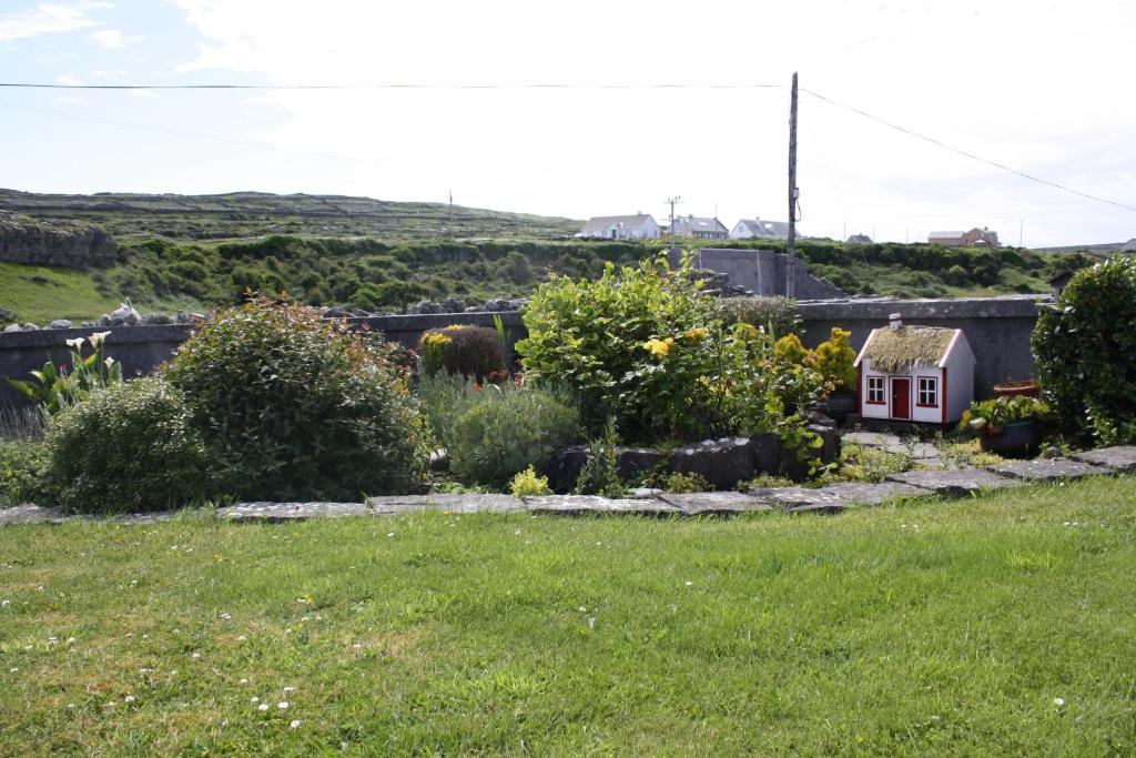 Radharc Na Ceibhe B&B H91 V0Y3 Kilronan (Inishmore) Exterior foto